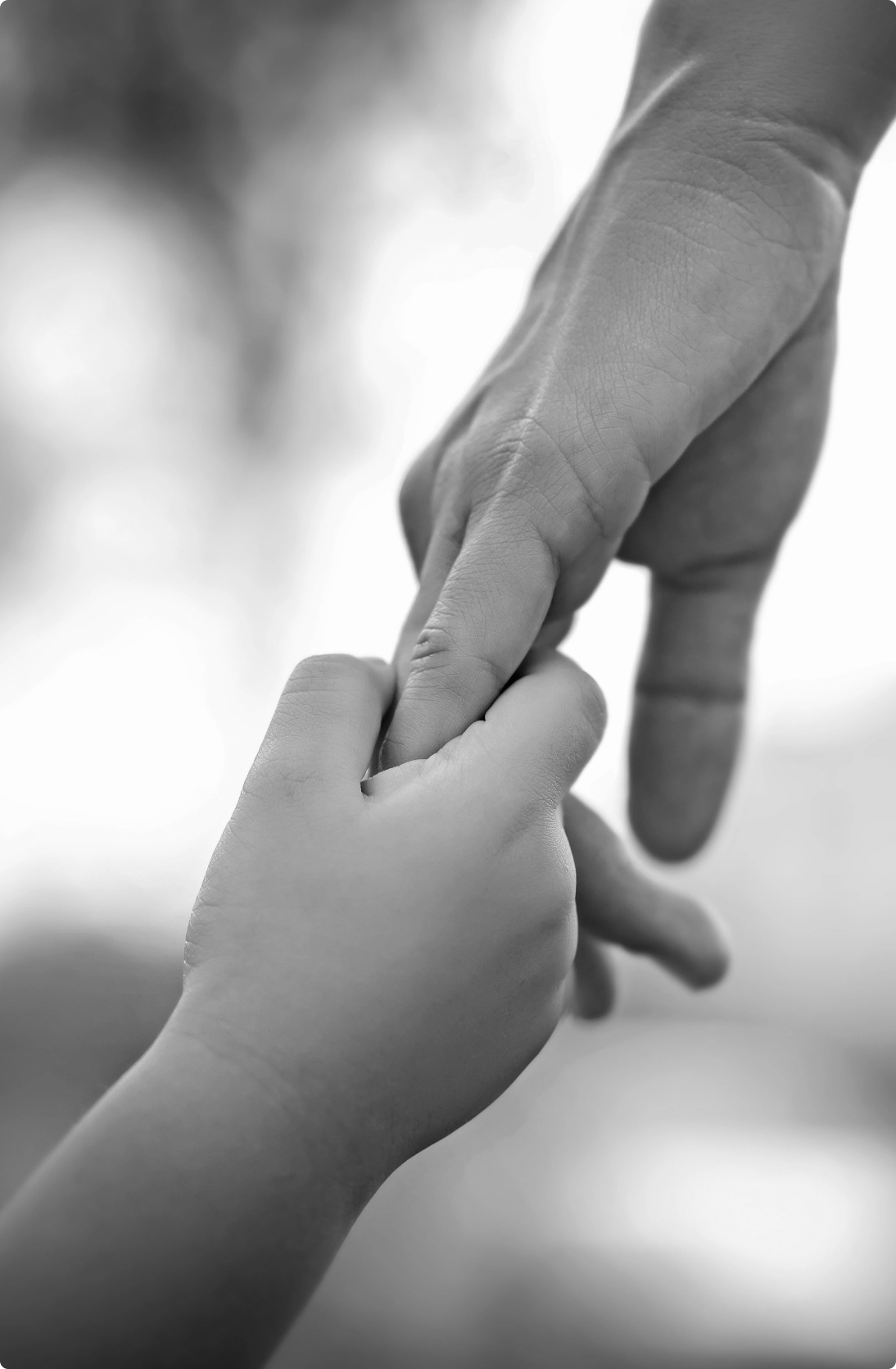 Parenting custody intro