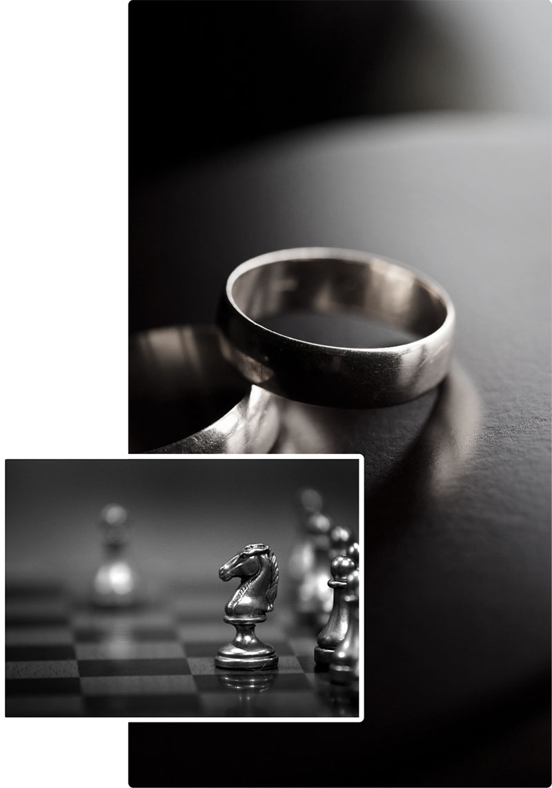 Chess horse